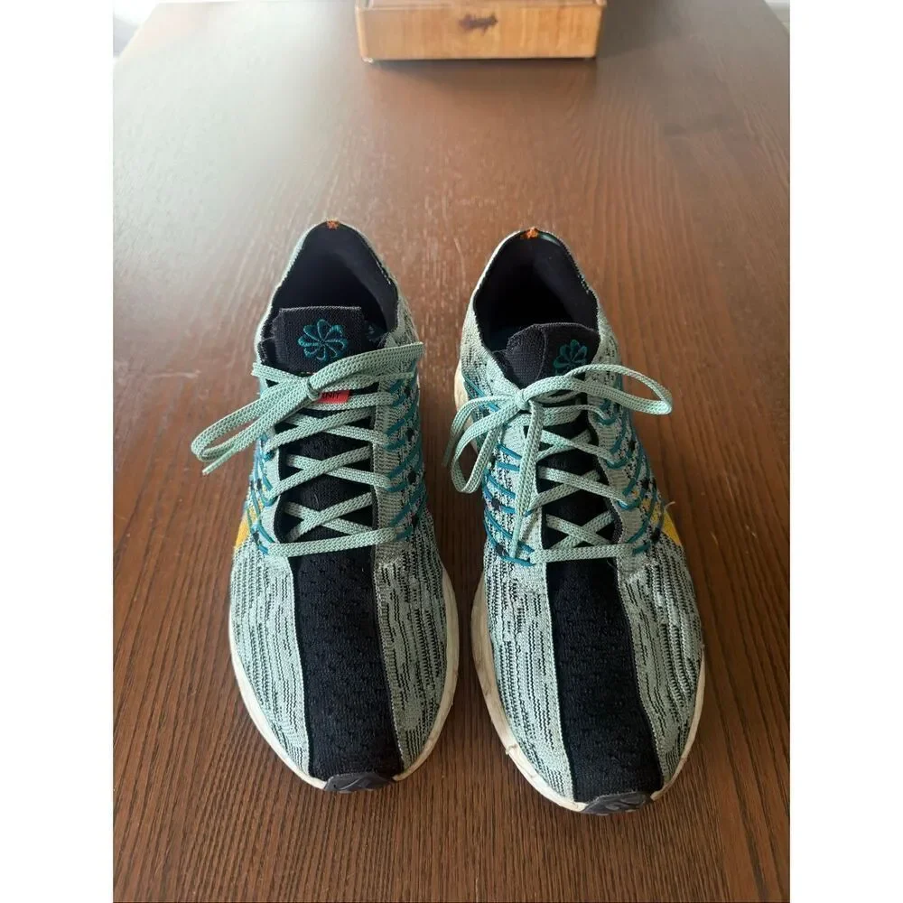 Nike pegasus turbo